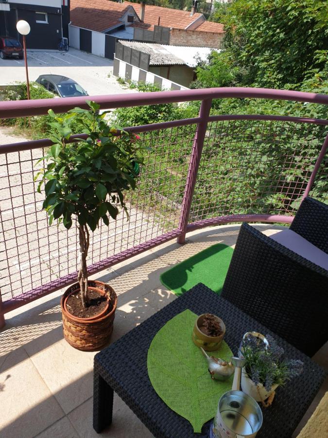 Lux Apartman Čačak المظهر الخارجي الصورة